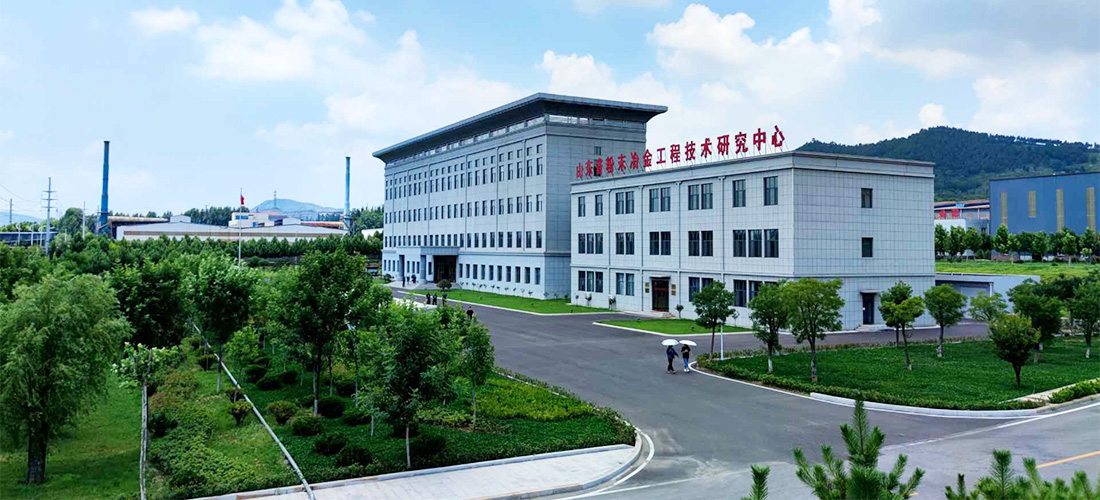 Shandong Luyin company and research center